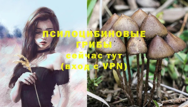 mdpv Баксан
